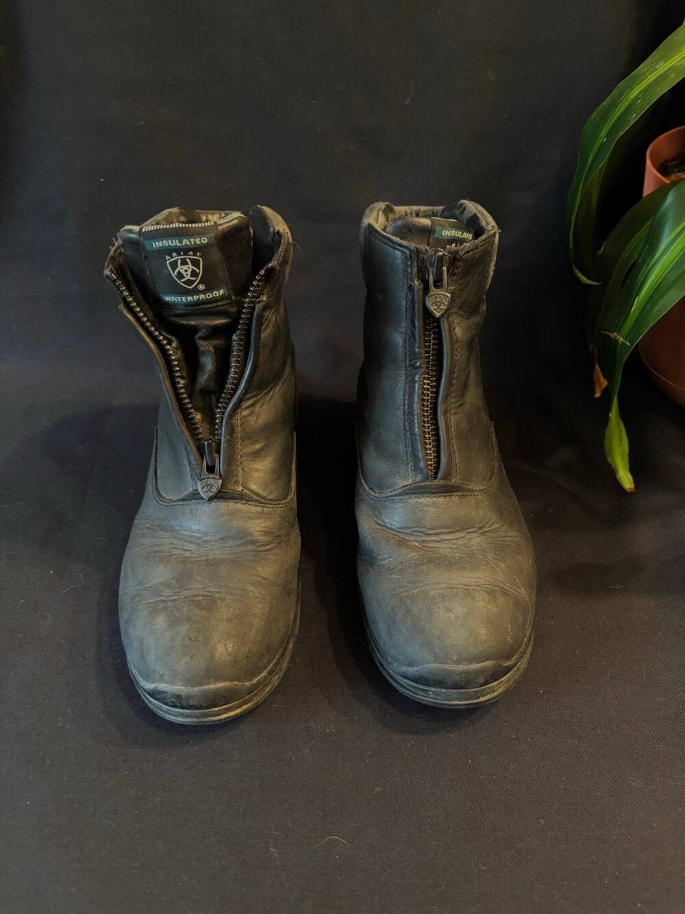 Women’s Kids Ariat Extreme Zip Paddock Boots Shoes Waterproof, size 5 10016376